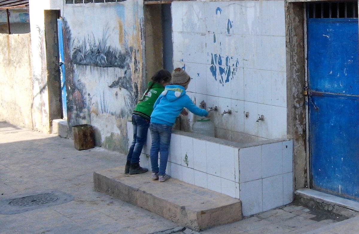 Photo 1 (2)